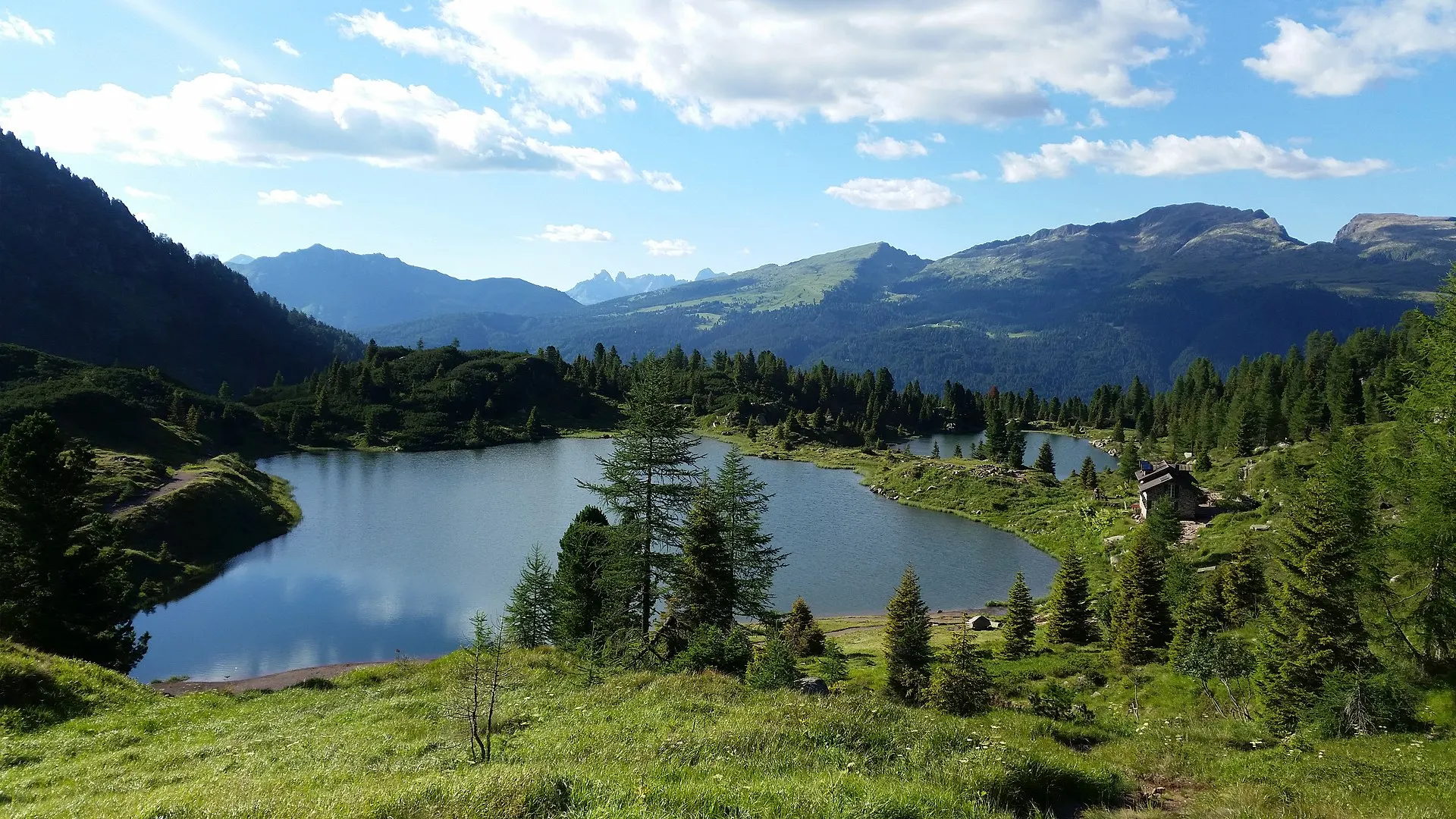Laghi di Colbricon — two alpine lakes in the Paneveggio forest with conifers and the Dolomite peaks behind.