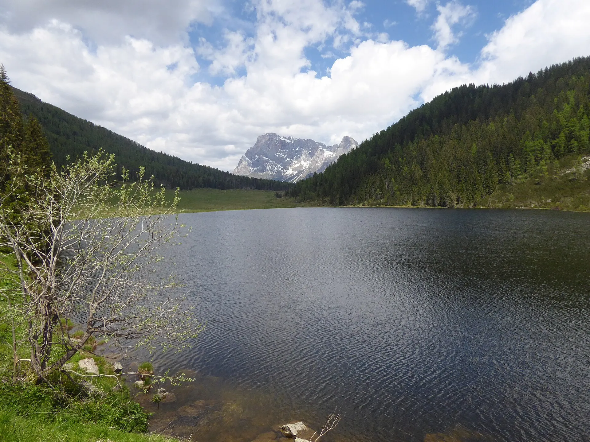 Lago di Calaita — a serene alpine lake with forested hillsides and the Pale di San Martino peaks behind.