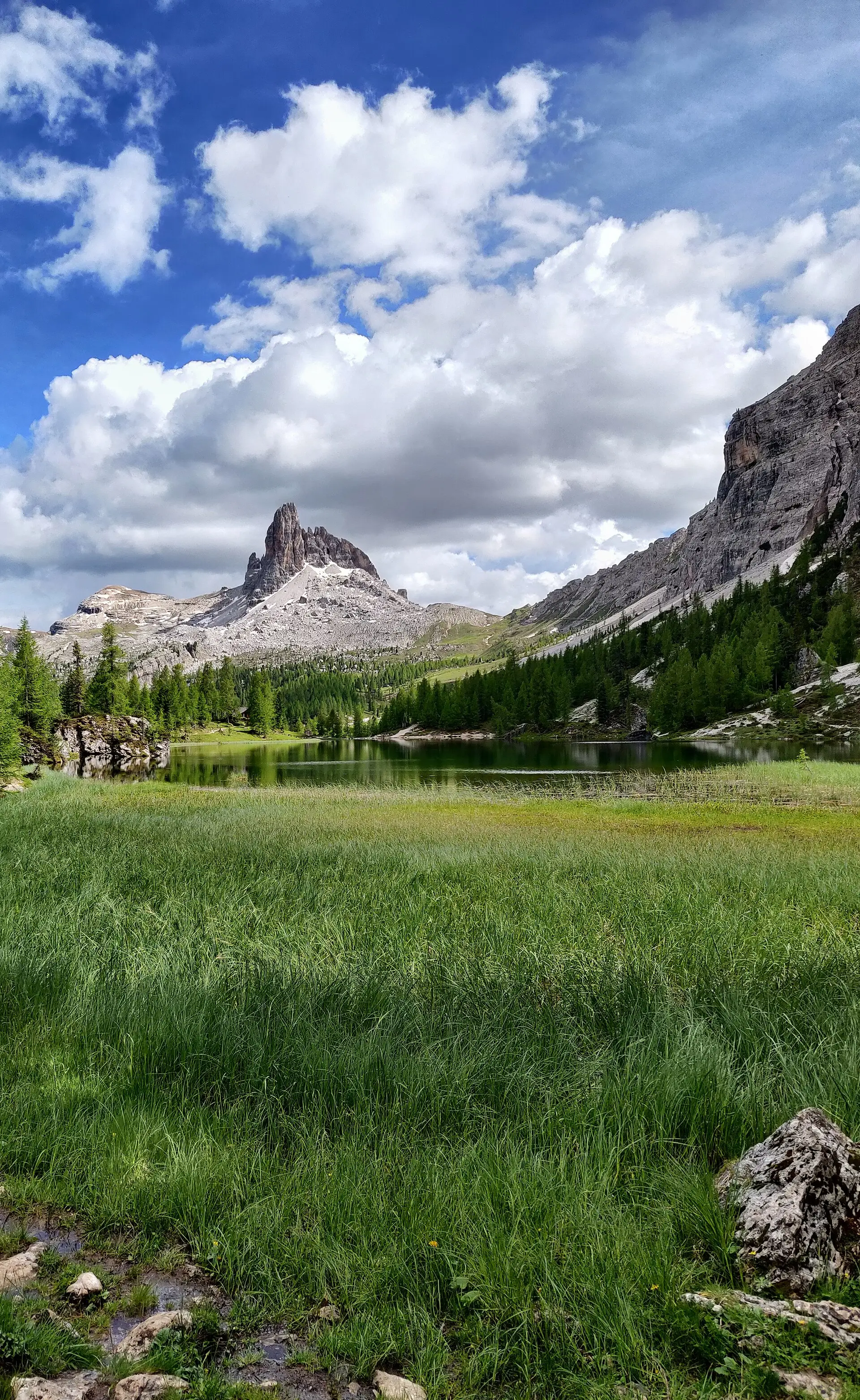 Lago di Federa with Croda da Lago rising behind it — alpine lake and meadow under the iconic Cortina dolomite.