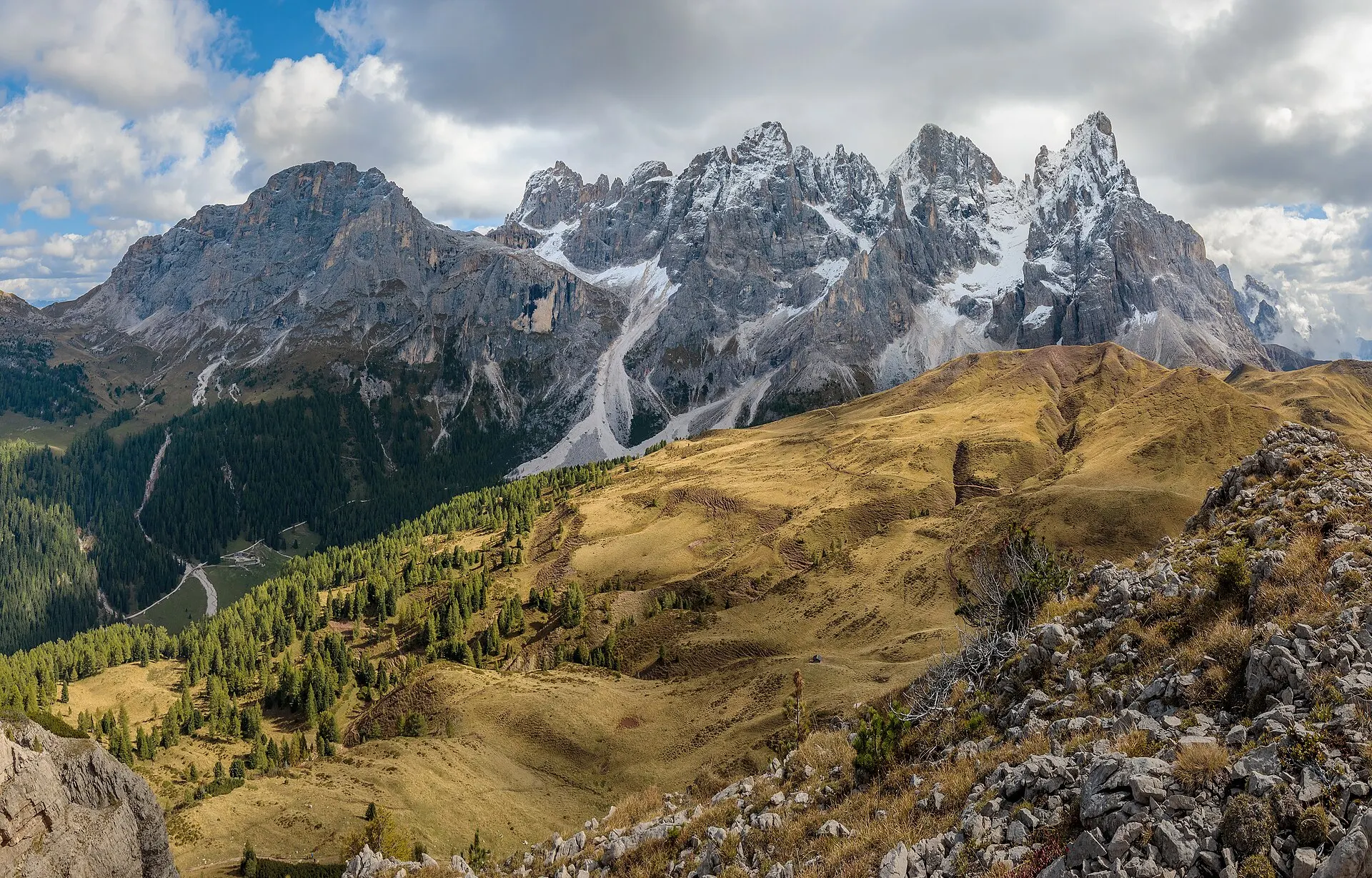 The Pale di San Martino range from the Monte Castellaz ridge — grassy alpine slopes leading to the jagged dolomite walls.