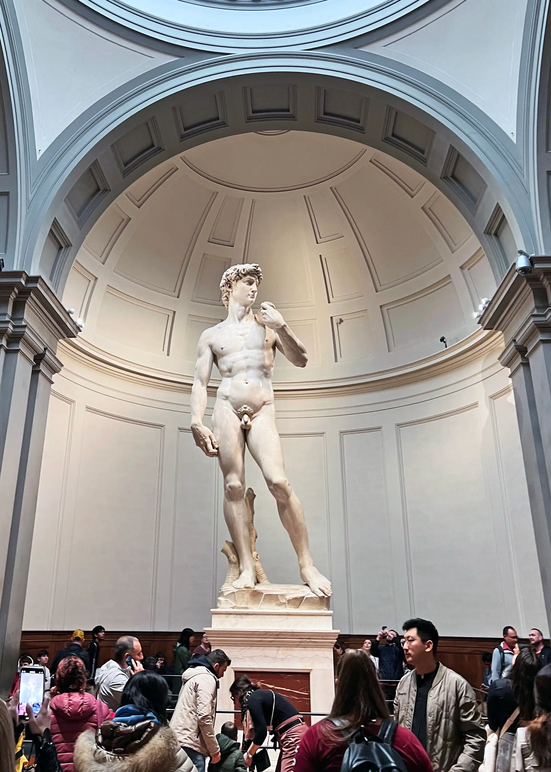 Michelangelo's David in its domed apse at the Galleria dell'Accademia in Florence.